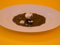 DSCN4760_gr